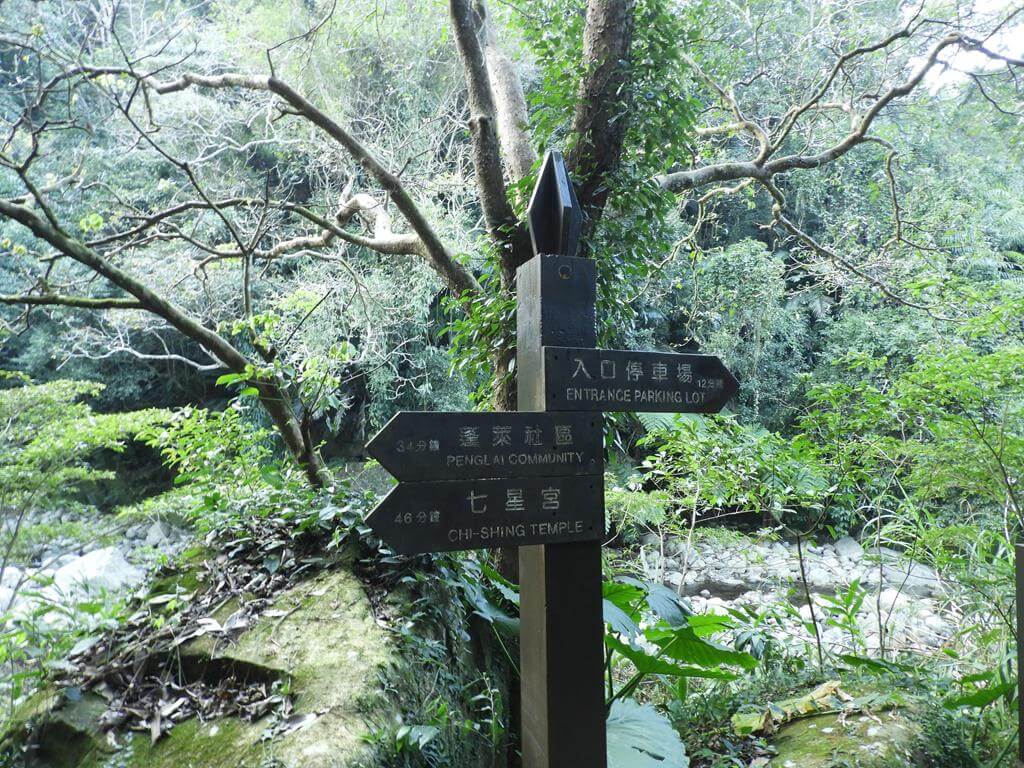 蓬萊溪自然生態園區（蓬萊溪護魚步道）的圖片：第42張照片