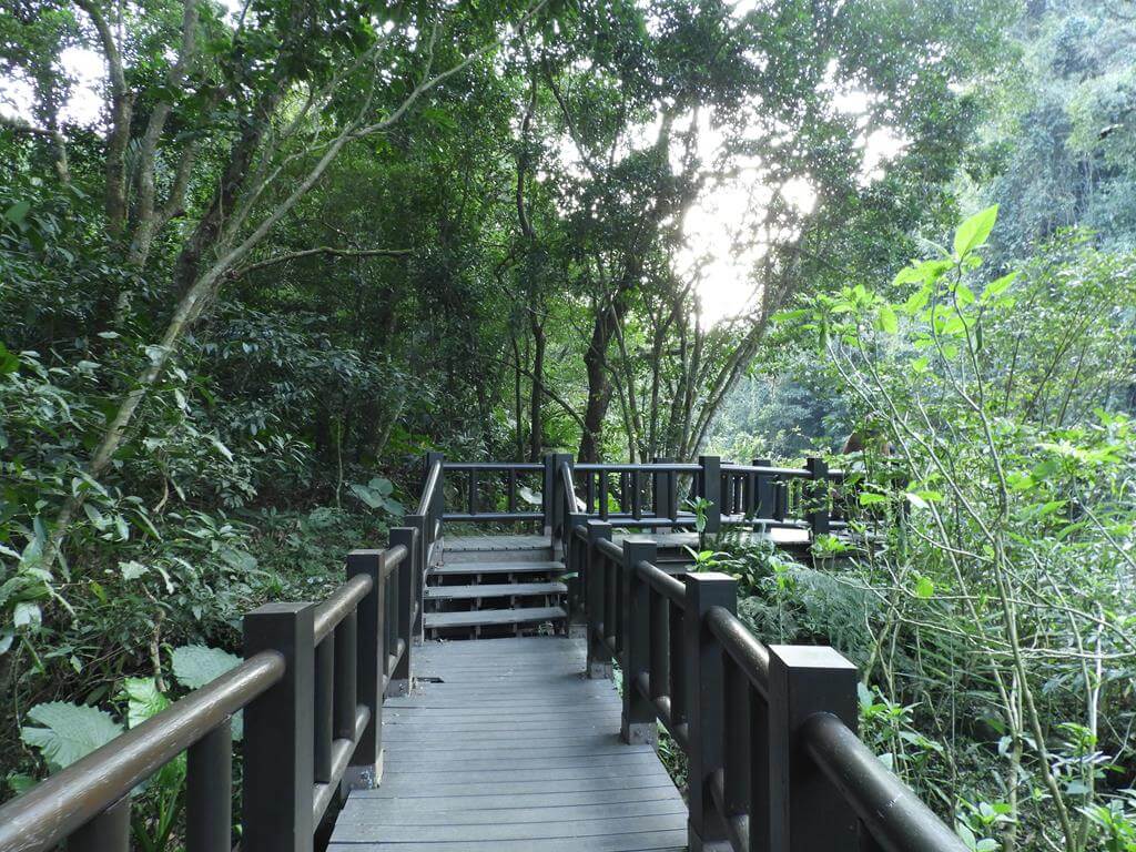 蓬萊溪自然生態園區（蓬萊溪護魚步道）的圖片：第43張照片