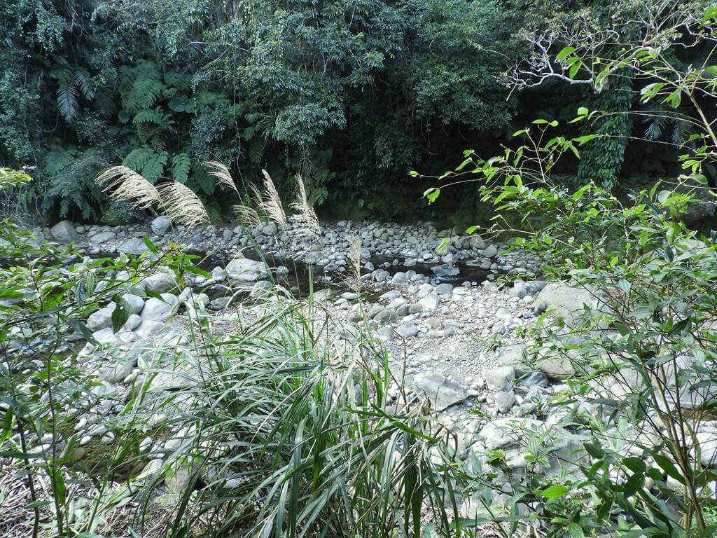 蓬萊溪自然生態園區（蓬萊溪護魚步道）的圖片：第44張照片