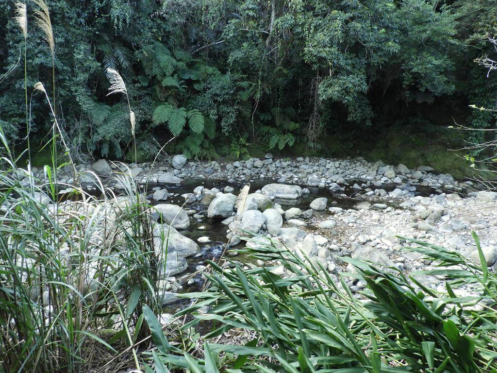 蓬萊溪自然生態園區（蓬萊溪護魚步道）的圖片：第47張照片