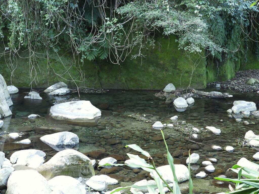 蓬萊溪自然生態園區（蓬萊溪護魚步道）的圖片：第48張照片