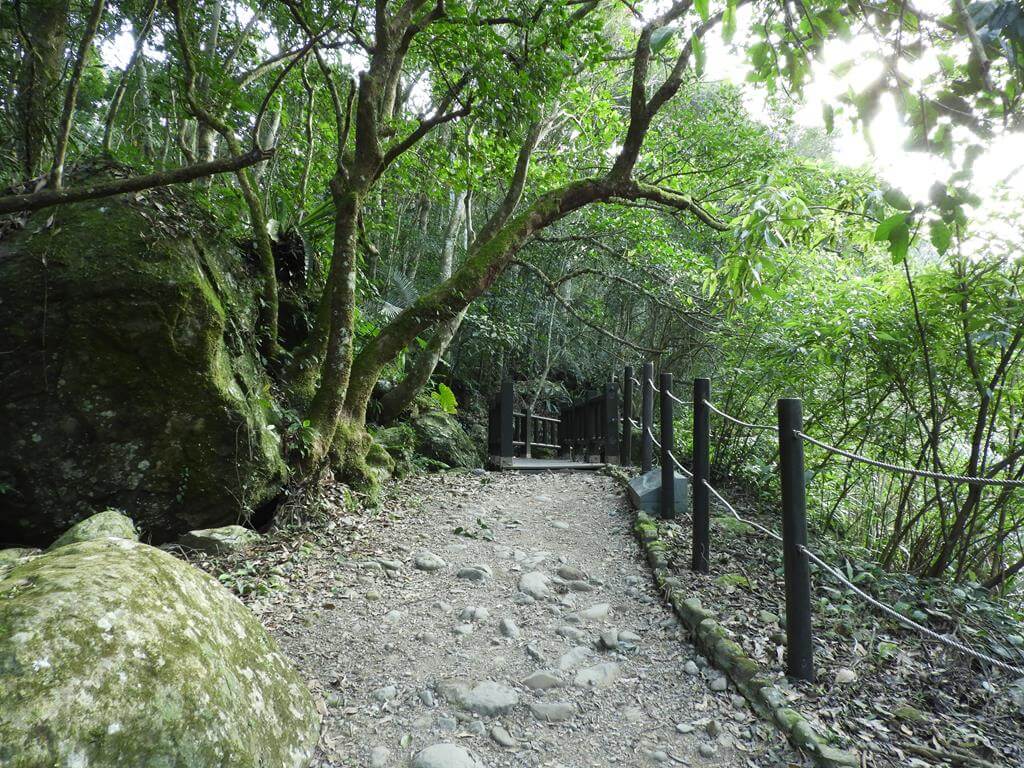 蓬萊溪自然生態園區（蓬萊溪護魚步道）的圖片：第51張照片