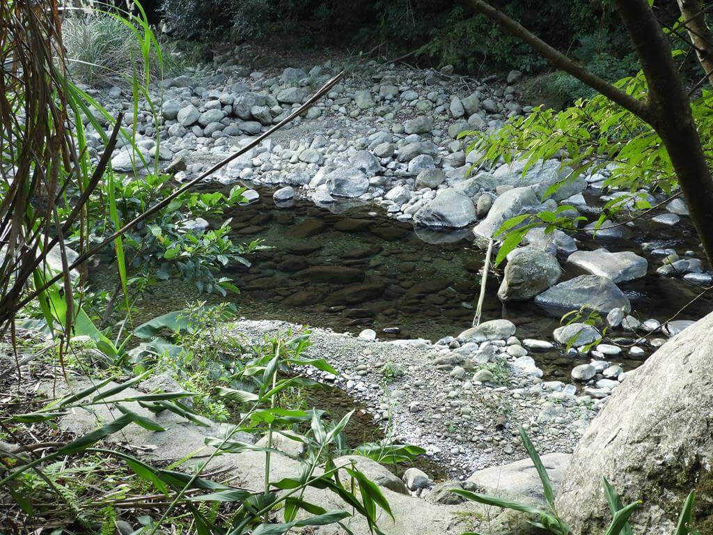 蓬萊溪自然生態園區（蓬萊溪護魚步道）的圖片：第54張照片