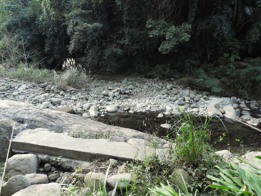 蓬萊溪自然生態園區（蓬萊溪護魚步道）的圖片：第56張照片