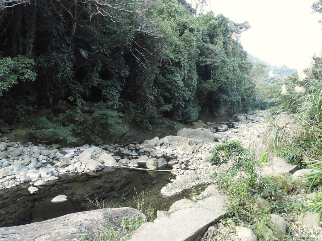 蓬萊溪自然生態園區（蓬萊溪護魚步道）的圖片：第57張照片