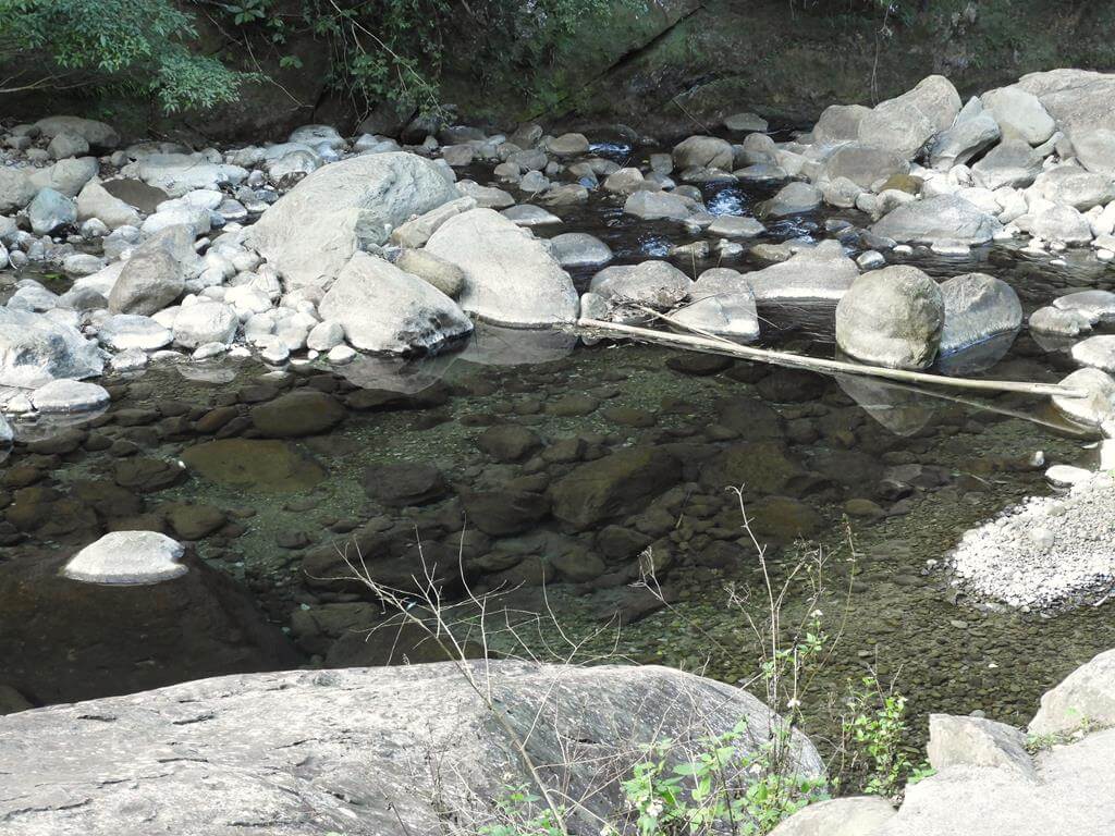 蓬萊溪自然生態園區（蓬萊溪護魚步道）的圖片：第58張照片