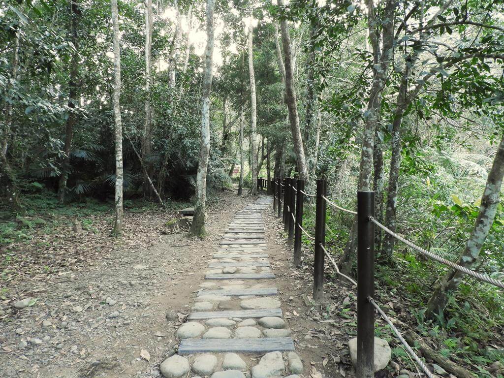 蓬萊溪自然生態園區（蓬萊溪護魚步道）的圖片：第65張照片