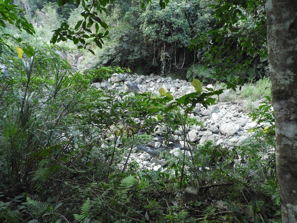 蓬萊溪自然生態園區（蓬萊溪護魚步道）的圖片：第69張照片