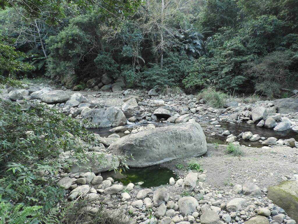 蓬萊溪自然生態園區（蓬萊溪護魚步道）的圖片：第72張照片
