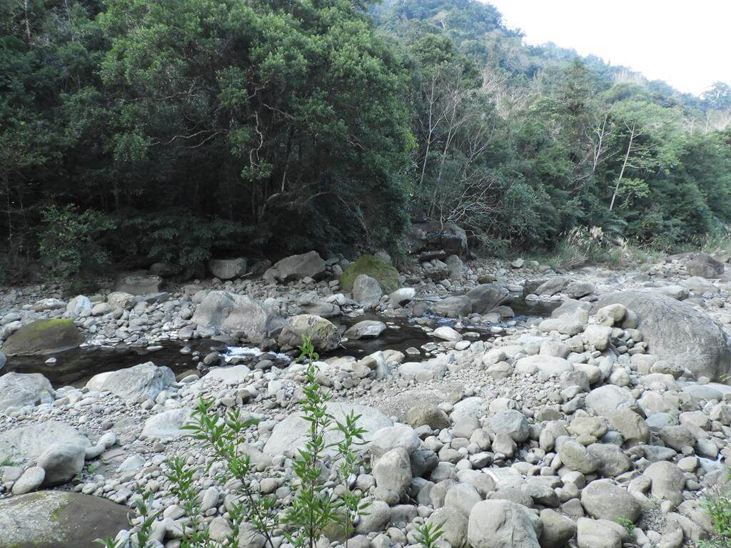 蓬萊溪自然生態園區（蓬萊溪護魚步道）的圖片：第73張照片