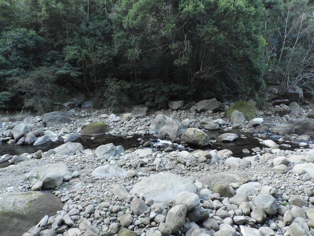 蓬萊溪自然生態園區（蓬萊溪護魚步道）的圖片：第74張照片