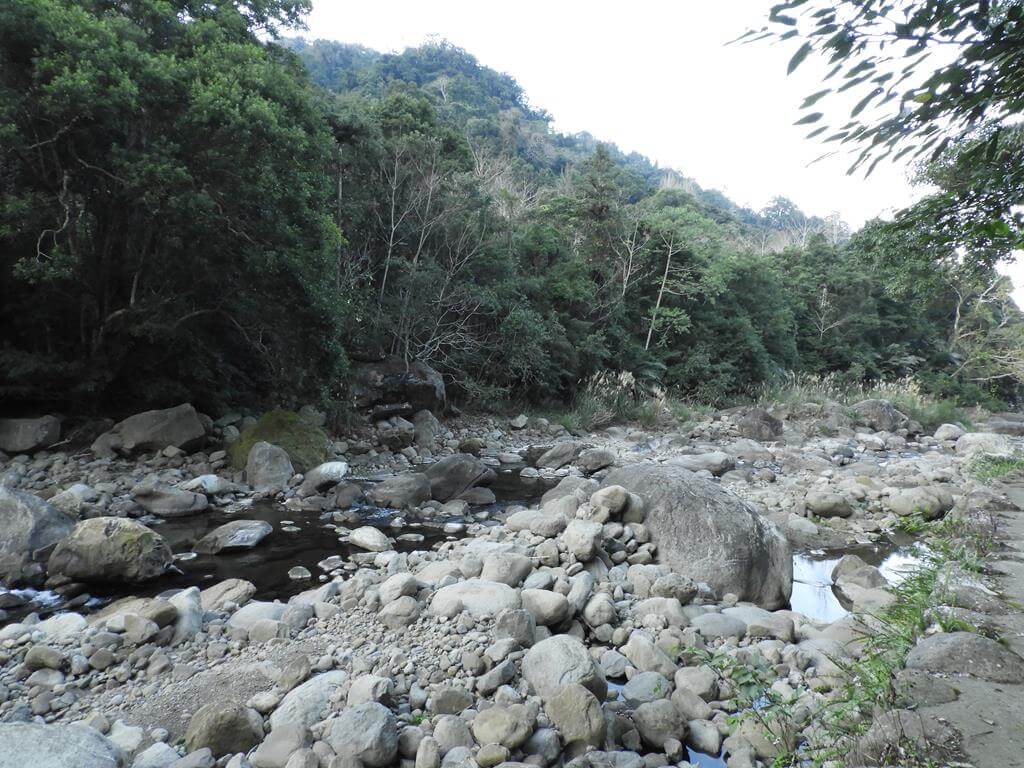蓬萊溪自然生態園區（蓬萊溪護魚步道）的圖片：第75張照片