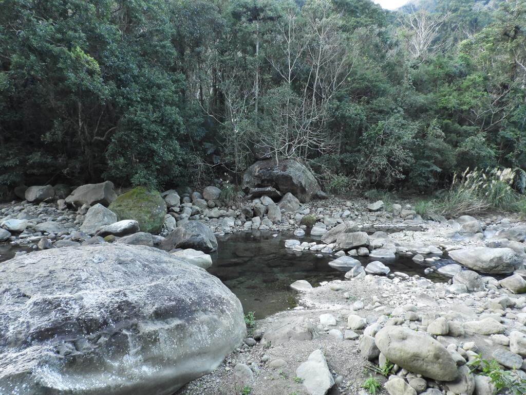 蓬萊溪自然生態園區（蓬萊溪護魚步道）的圖片：第77張照片