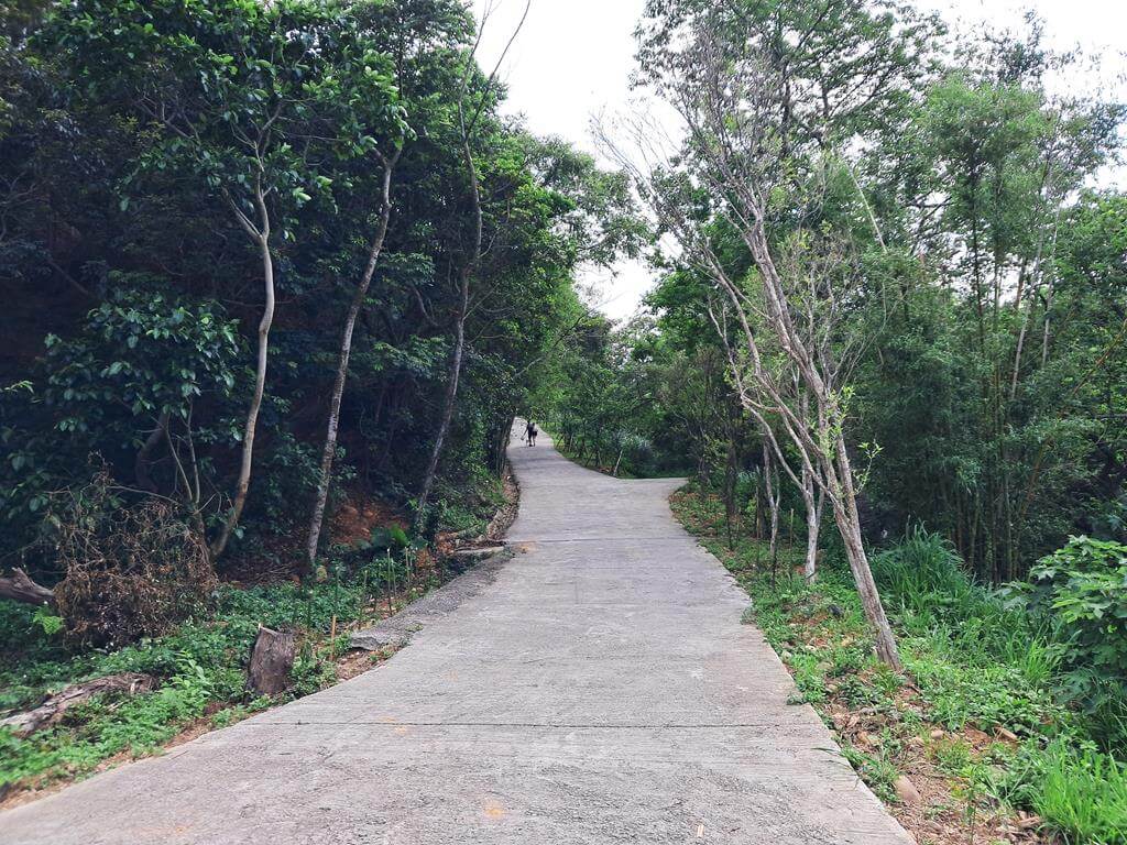 新竹文山步道的圖片：第6張照片