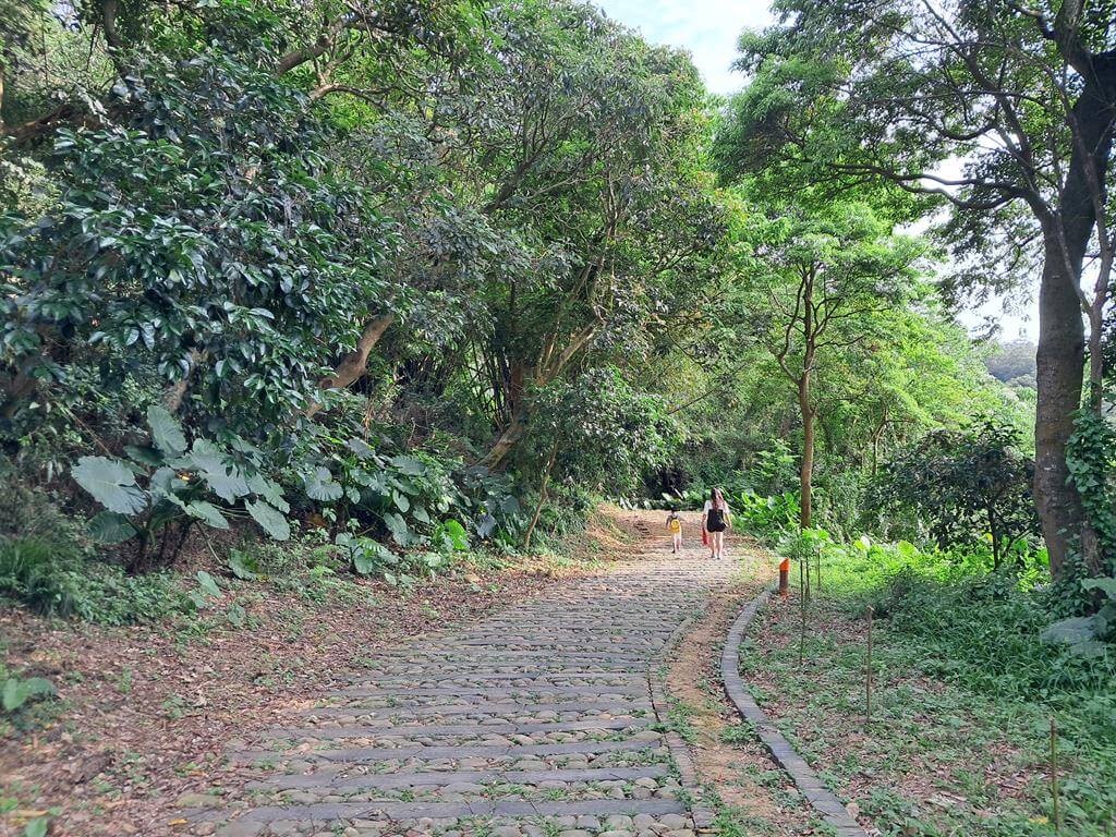 新竹文山步道的圖片：第19張照片