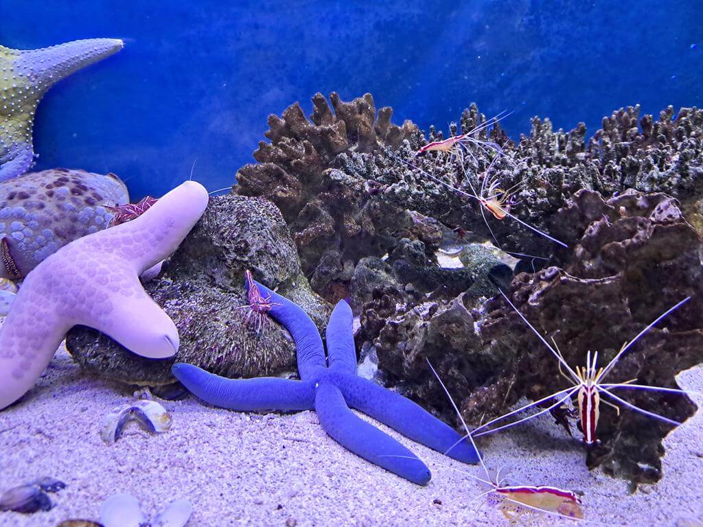澄清湖海洋奇珍園的圖片：第16張照片