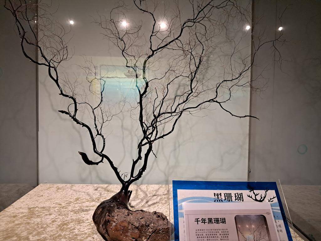 澄清湖海洋奇珍園的圖片：第29張照片