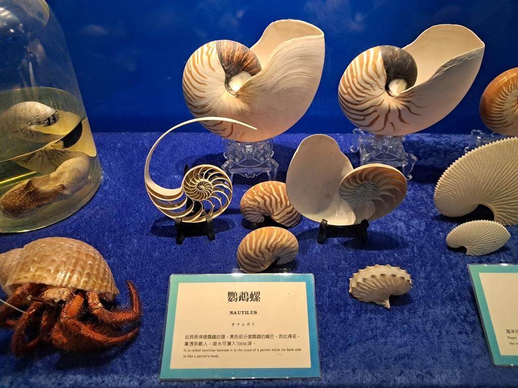 澄清湖海洋奇珍園的圖片：第32張照片