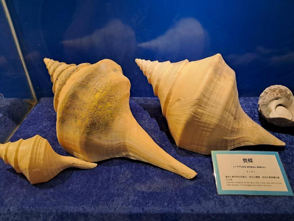 澄清湖海洋奇珍園的圖片：第33張照片