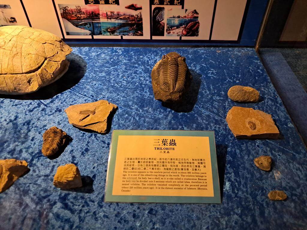 澄清湖海洋奇珍園的圖片：第36張照片