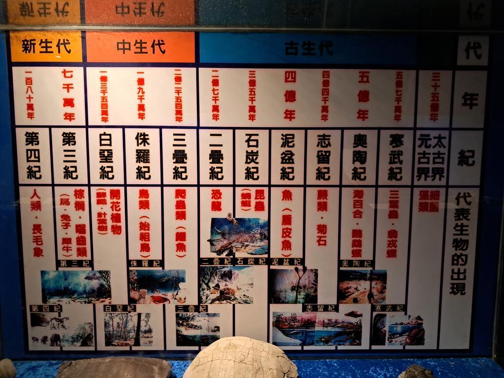 澄清湖海洋奇珍園的圖片：第37張照片