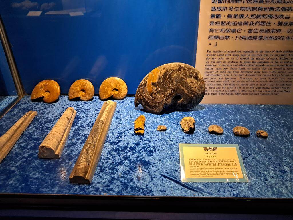 澄清湖海洋奇珍園的圖片：第38張照片