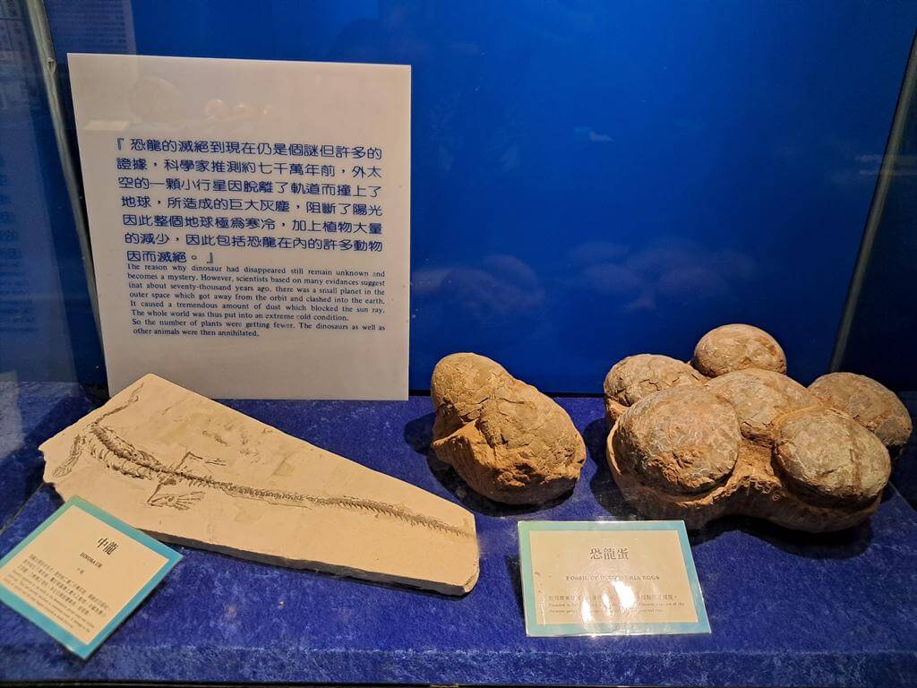 澄清湖海洋奇珍園的圖片：第39張照片
