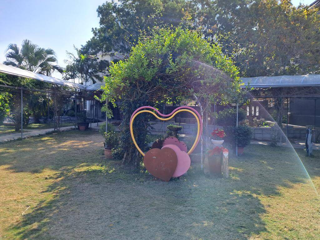 赤腳丫生態農莊的圖片：第29張照片
