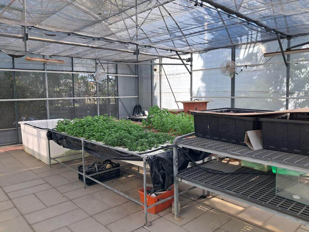 赤腳丫生態農莊的圖片：第30張照片