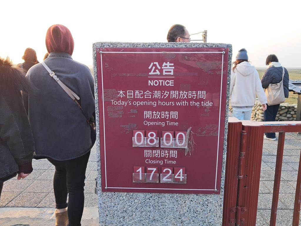高美濕地（高美野生動物保護區）的圖片：第8張照片