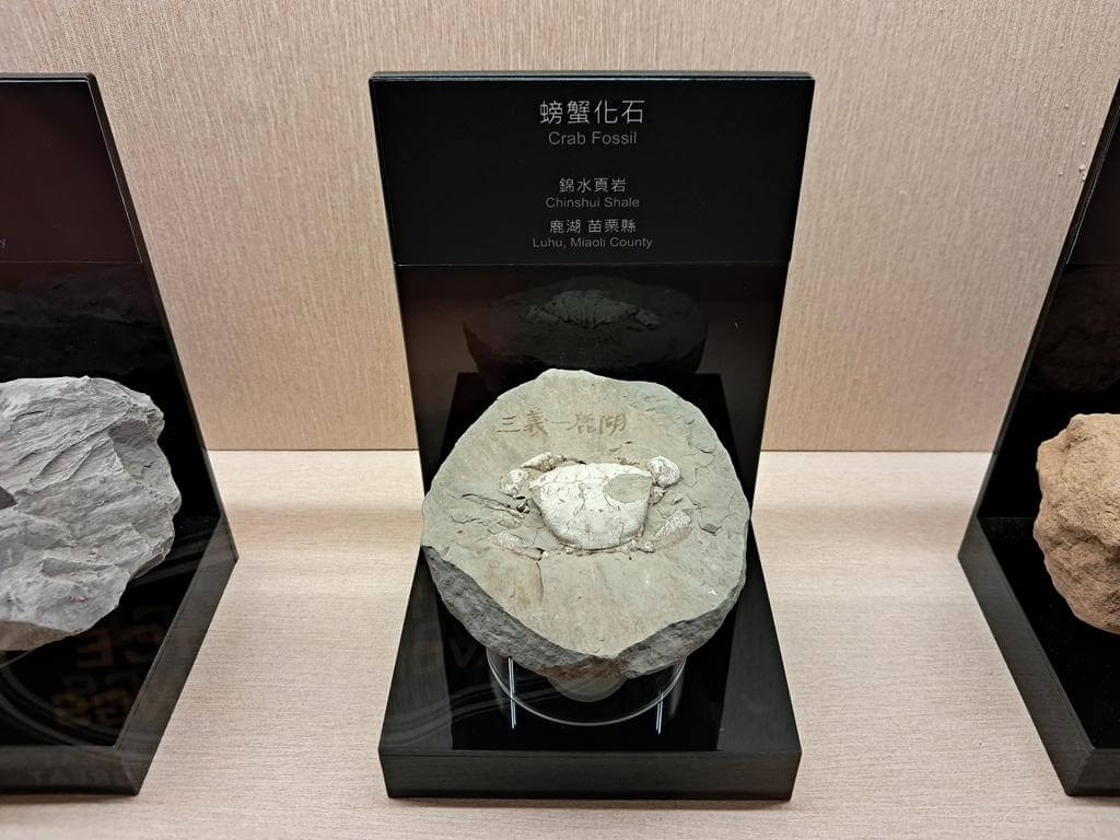 台灣油礦陳列館的圖片：第12張照片