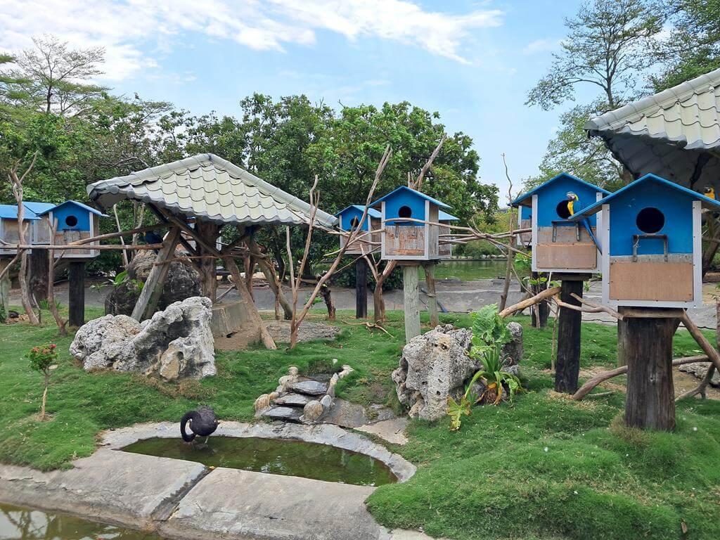 頑皮世界野生動物園的圖片：第4張照片-鸚鵡區（鸚鵡的家）