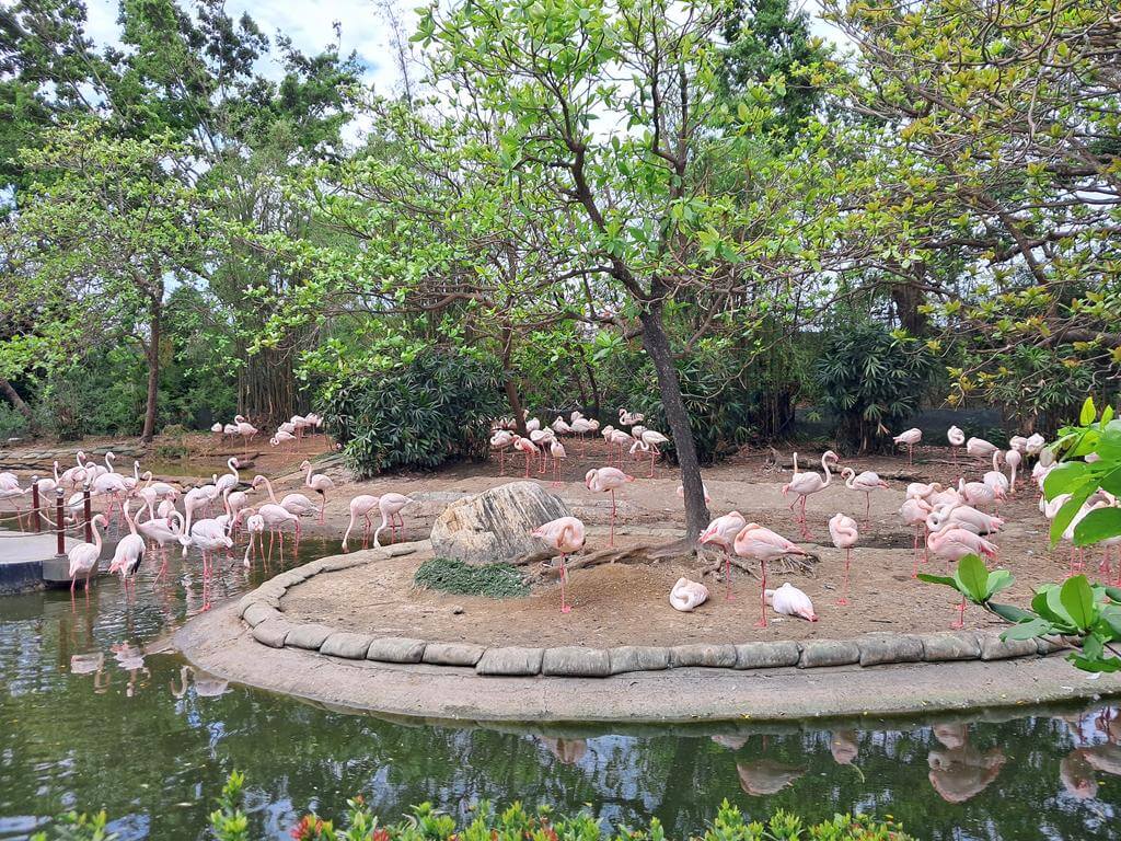 頑皮世界野生動物園的圖片：第7張照片
