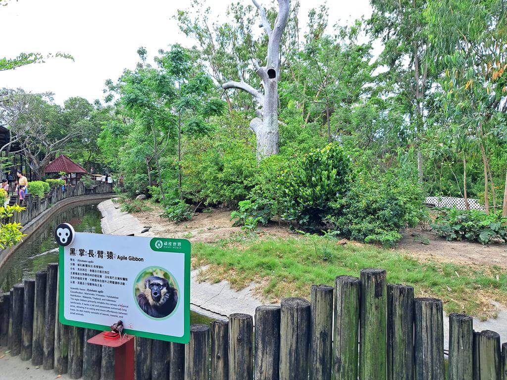 頑皮世界野生動物園的圖片：第8張照片