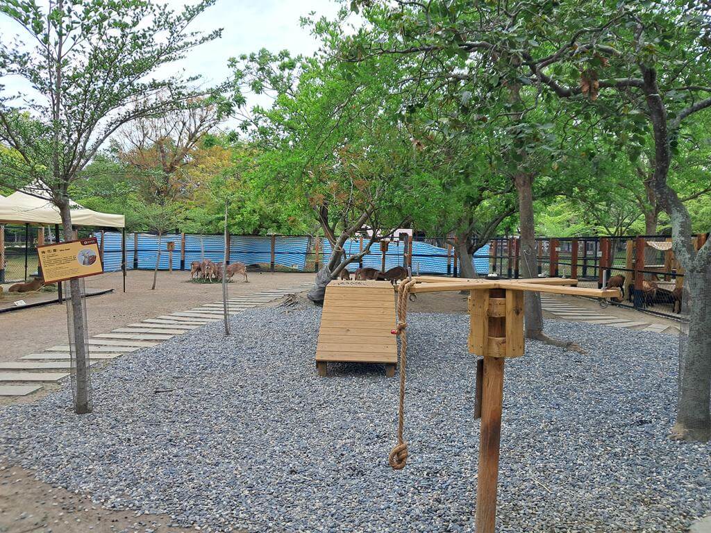 頑皮世界野生動物園的圖片：第9張照片