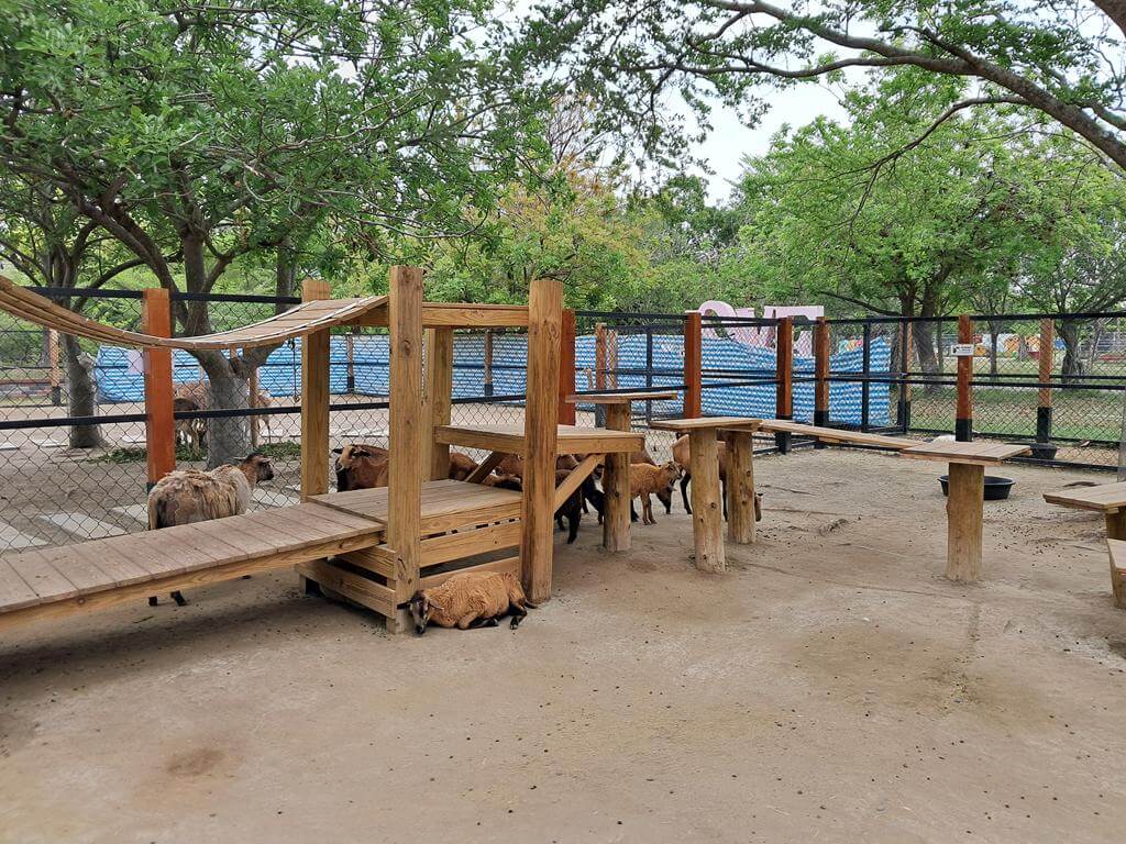 頑皮世界野生動物園的圖片：第10張照片