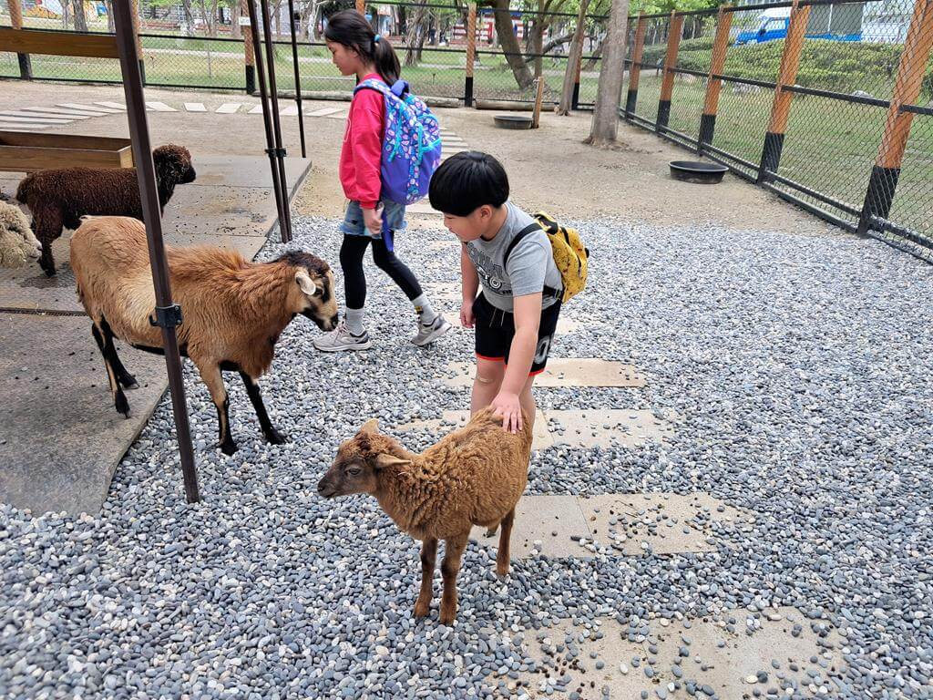 頑皮世界野生動物園的圖片：第11張照片