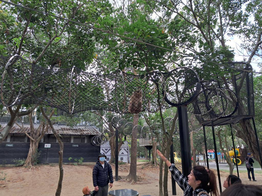 頑皮世界野生動物園的圖片：第16張照片