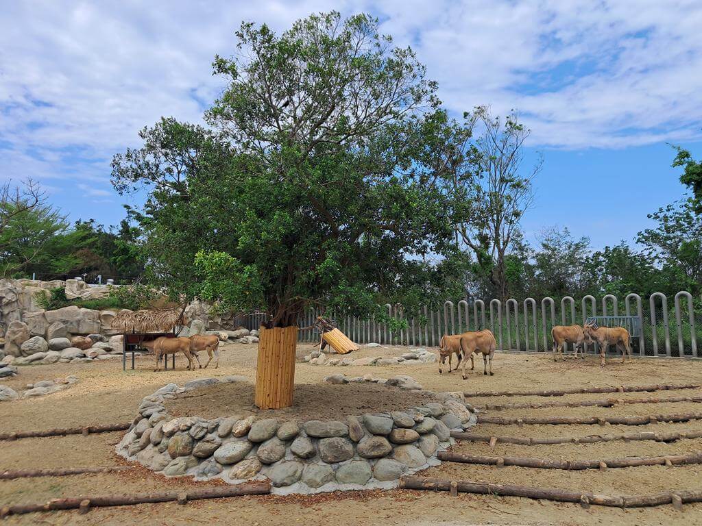 頑皮世界野生動物園的圖片：第22張照片