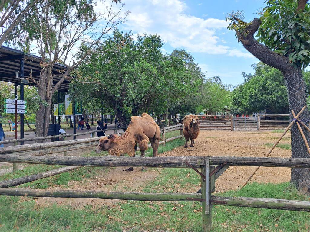 頑皮世界野生動物園的圖片：第23張照片