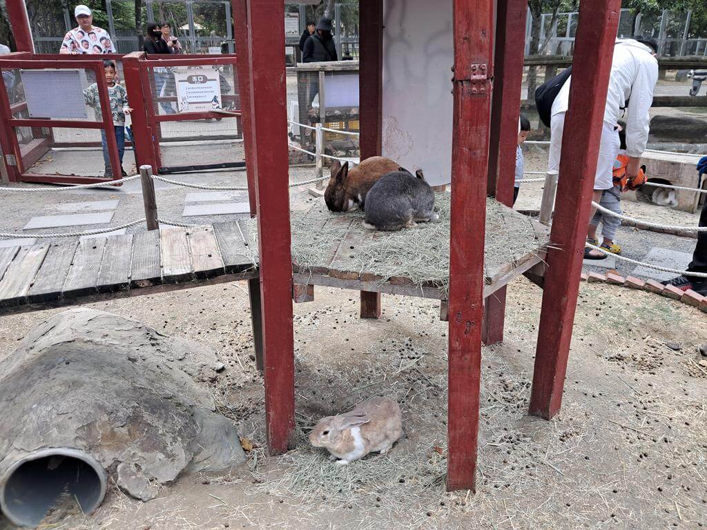 頑皮世界野生動物園的圖片：第25張照片