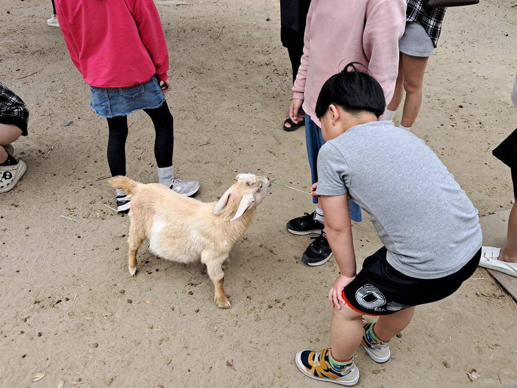 頑皮世界野生動物園的圖片：第26張照片