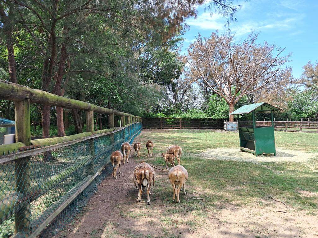 頑皮世界野生動物園的圖片：第28張照片