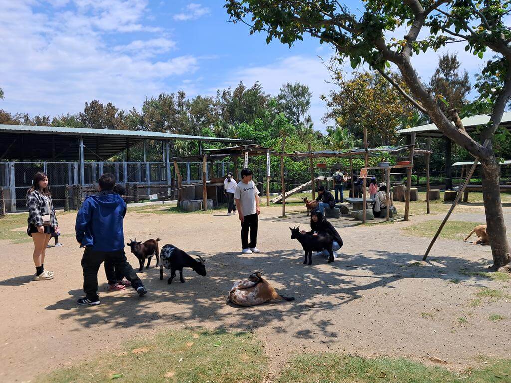 頑皮世界野生動物園的圖片：第32張照片