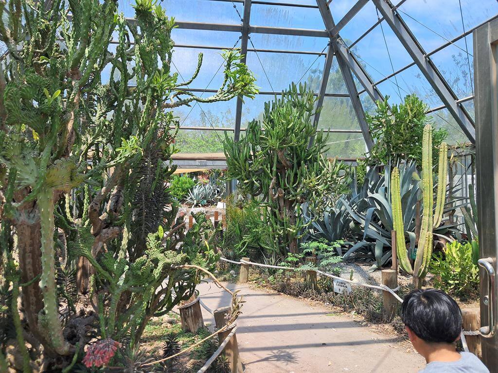 頑皮世界野生動物園的圖片：第35張照片