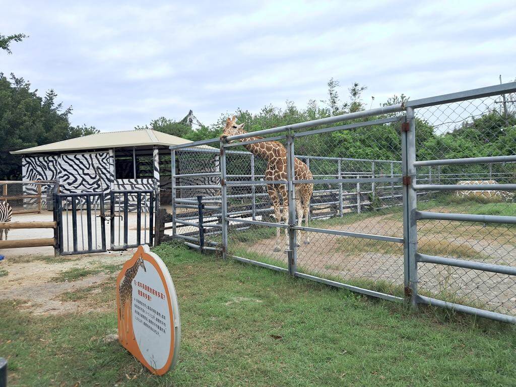 頑皮世界野生動物園的圖片：第48張照片