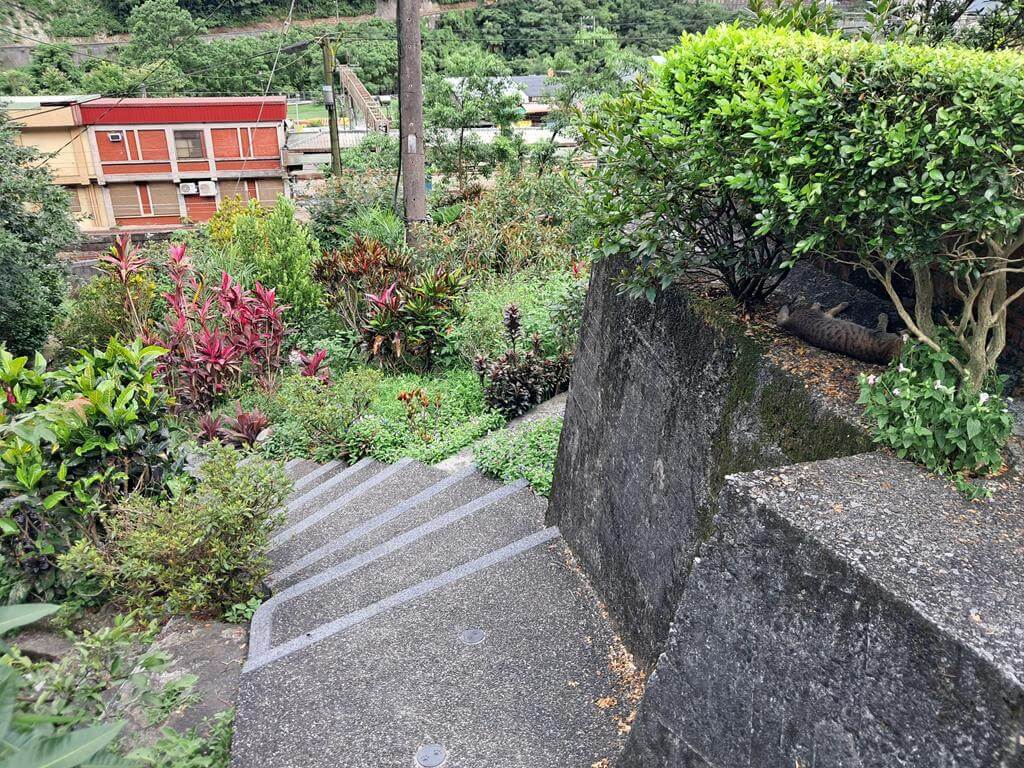 猴硐貓村的圖片：第39張照片