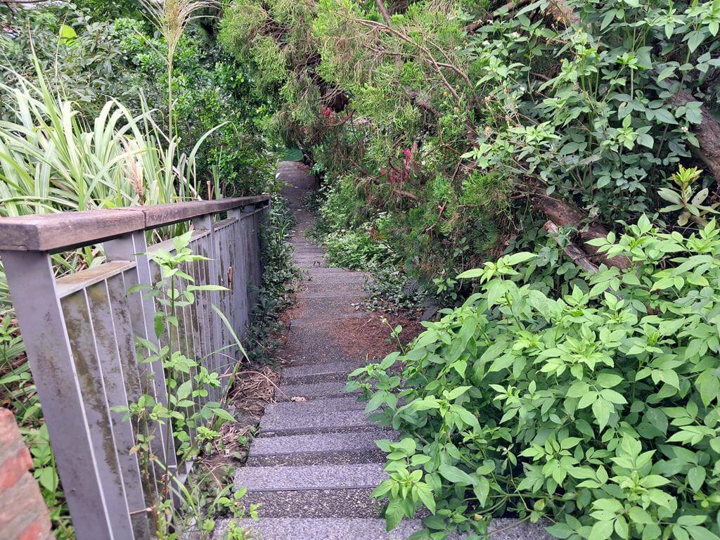 猴硐貓村的圖片：第40張照片