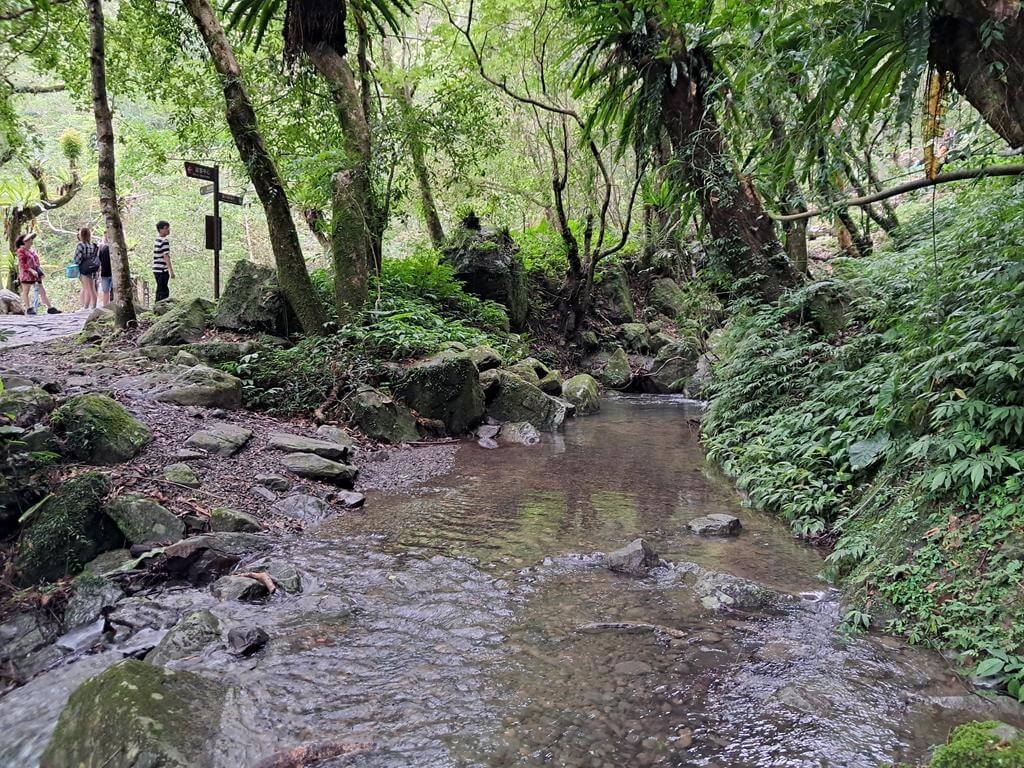 滿月圓國家森林遊樂區的圖片：第30張照片