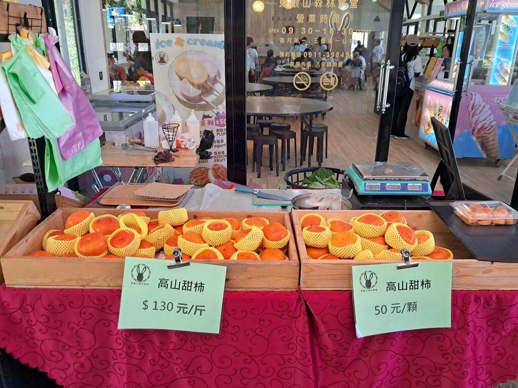 東眼山國家森林遊樂區的圖片：第6張照片